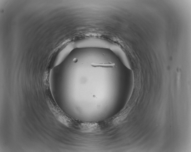 X0000087590480200704271312