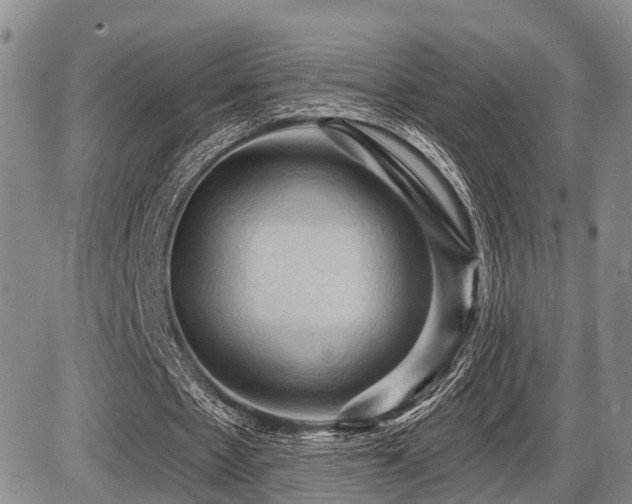 X0000087590481200704271311