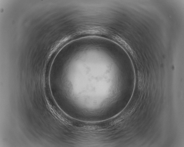 X0000087590482200704271311