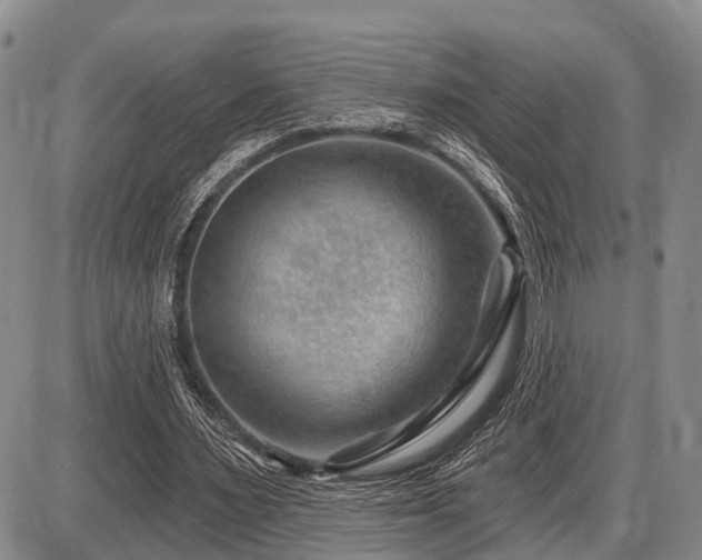 X0000087590483200704271311