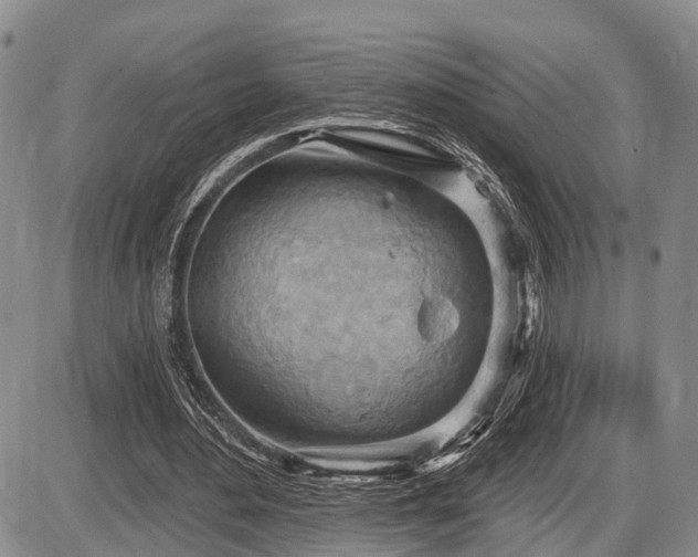 X0000087590484200704271311