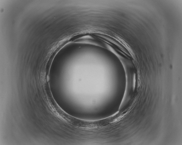 X0000087590485200704271311