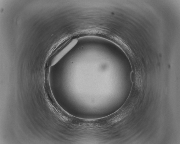 X0000087590486200704271311