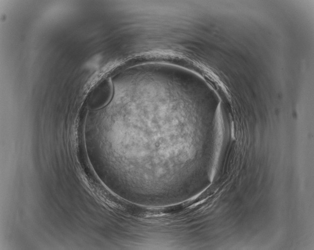 X0000087590487200704271311