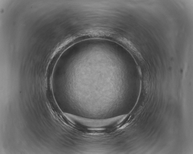 X0000087590488200704271311