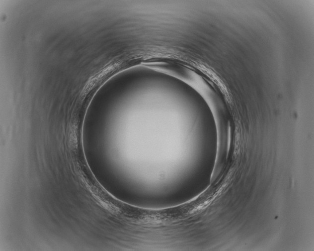 X0000087590489200704271311