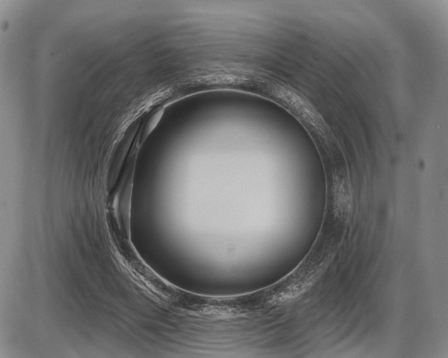 X0000087590490200704271311