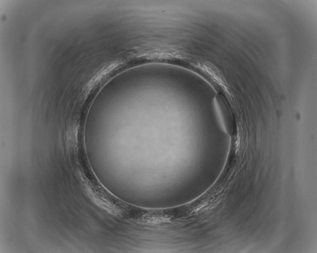 X0000087590491200704271311