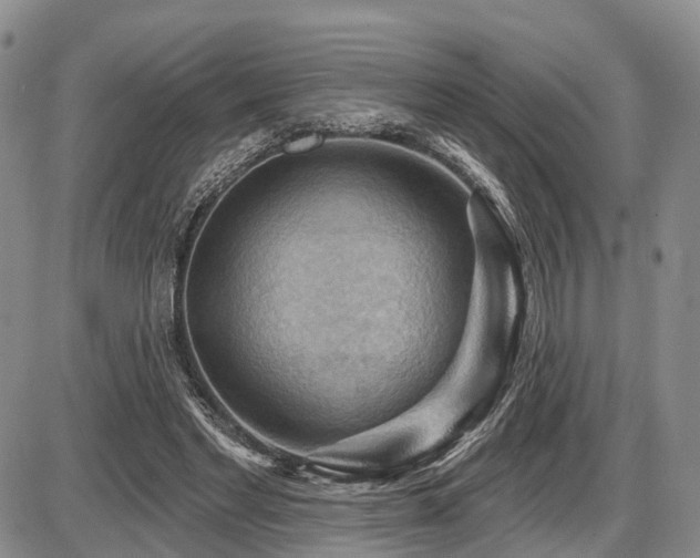 X0000087590493200704271311