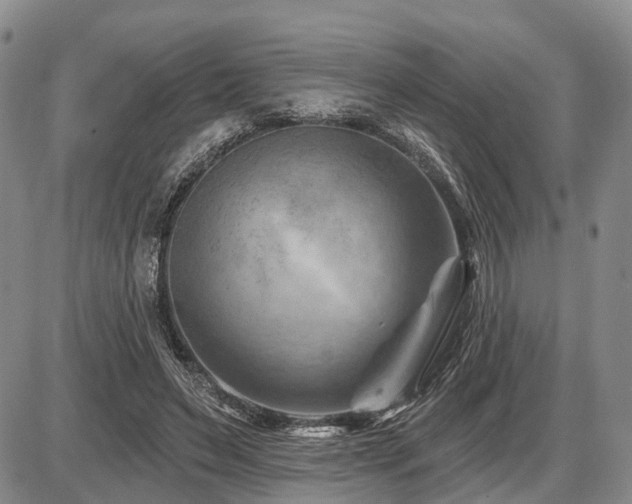 X0000087590495200704271311