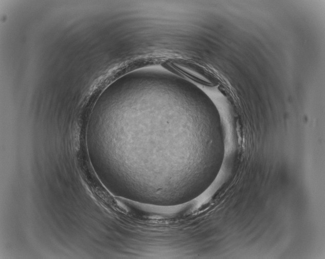 X0000087590496200704271311