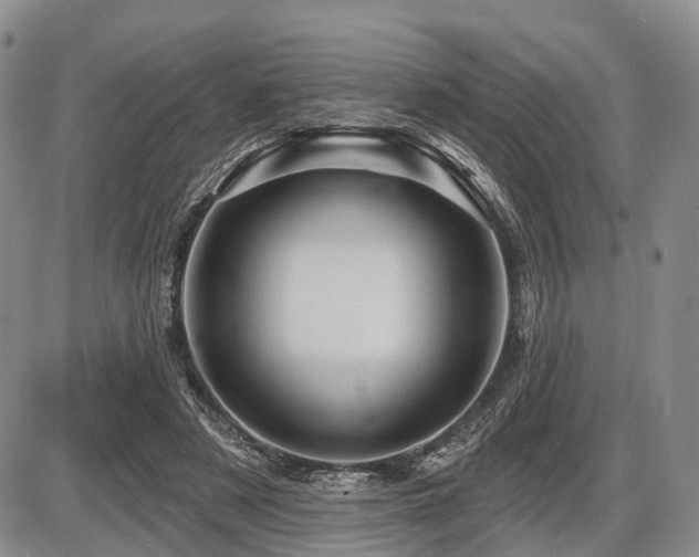 X0000087590497200704271311