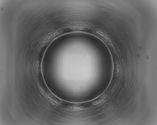 X0000087590498200704271311