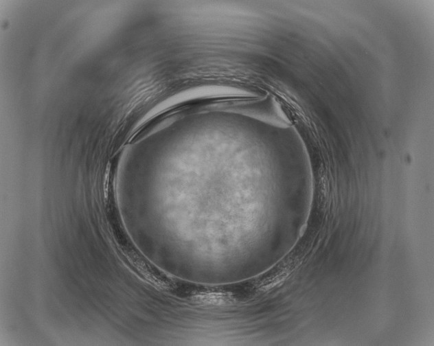 X0000087590499200704271311