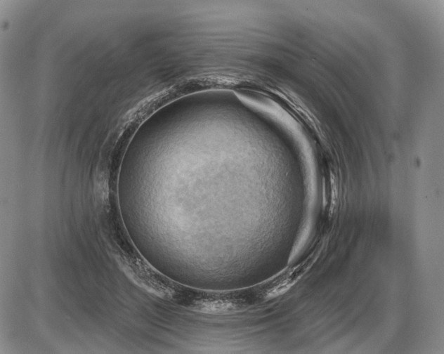 X0000087590500200704271311