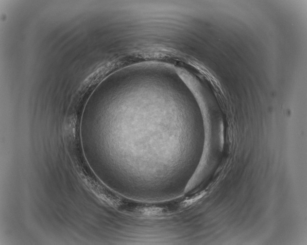 X0000087590501200704271311