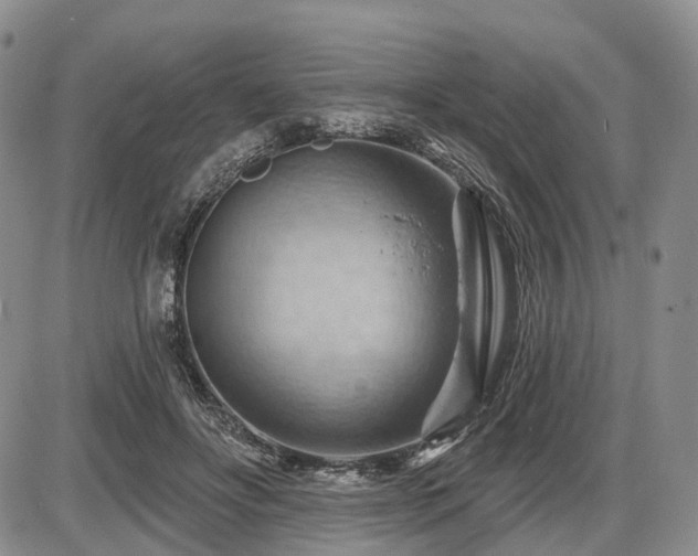 X0000087590502200704271311