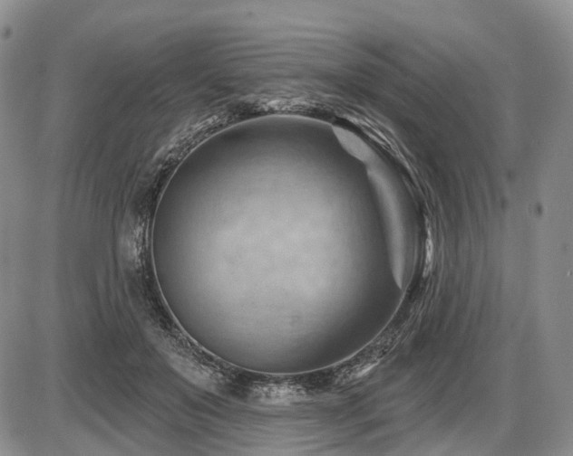 X0000087590503200704271311