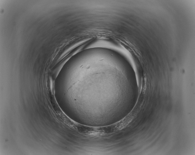 X0000087590504200704271311