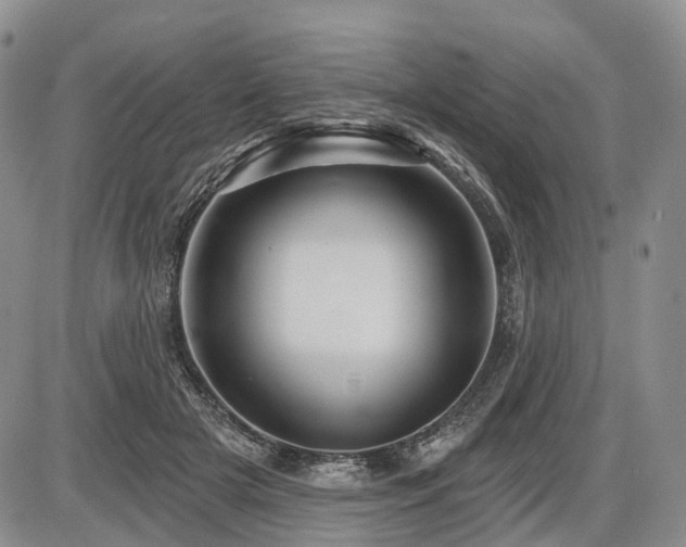 X0000087590505200704271311