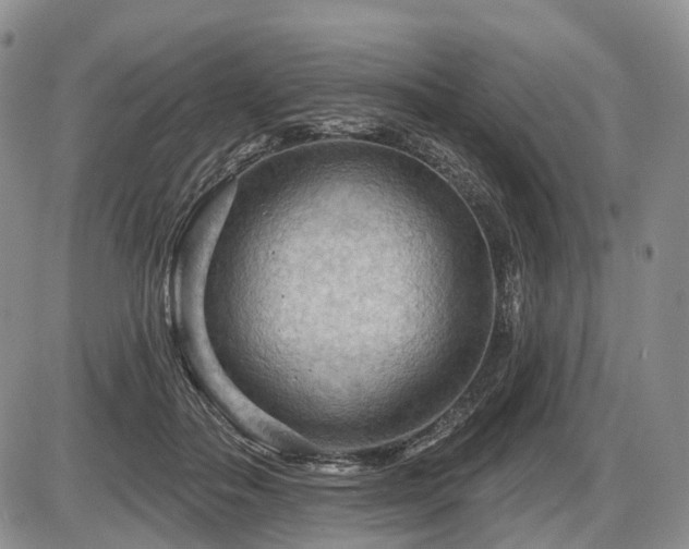 X0000087590506200704271311