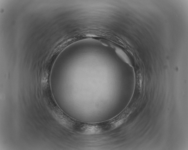 X0000087590507200704271311