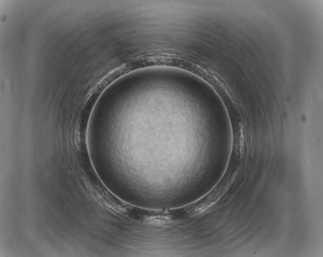 X0000087590508200704271311