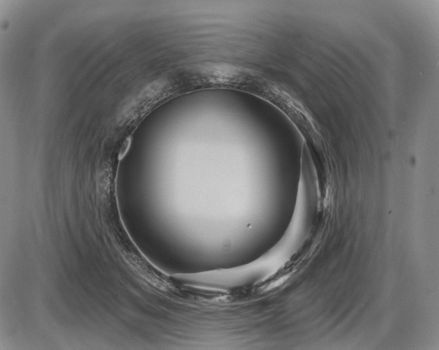 X0000087590509200704271310