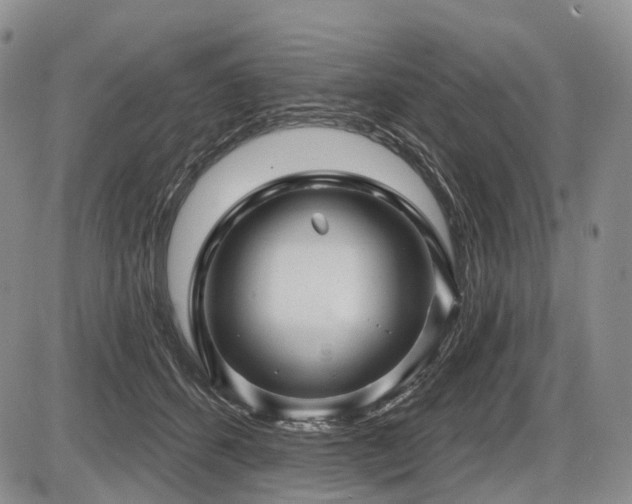 X0000087590512200704271310