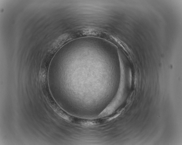 X0000087590513200704271310