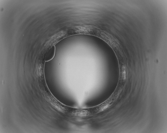 X0000087590514200704271310