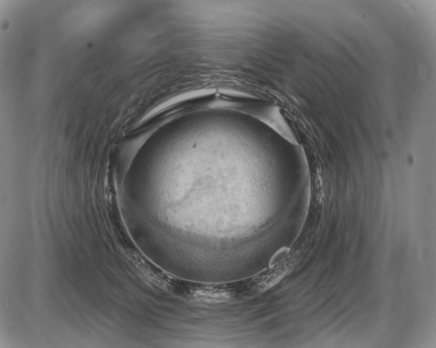 X0000087590515200704271310