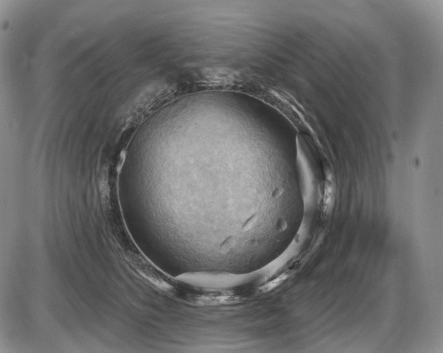 X0000087590516200704271310