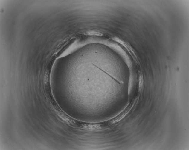 X0000087590517200704271310