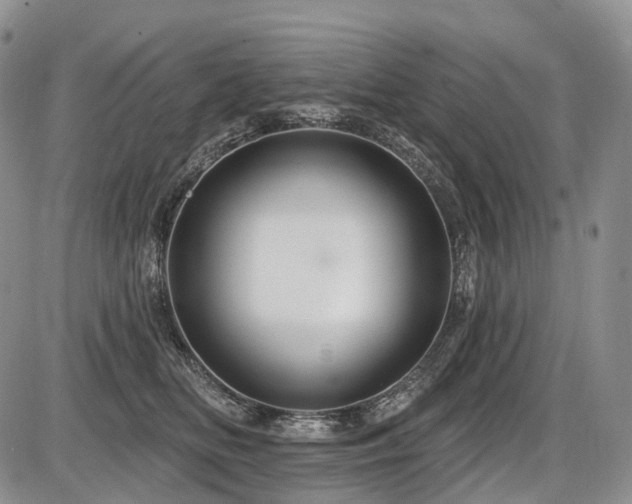 X0000087590518200704271310