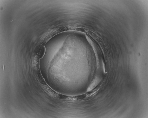 X0000087590519200704271310