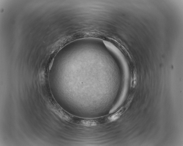 X0000087590520200704271310