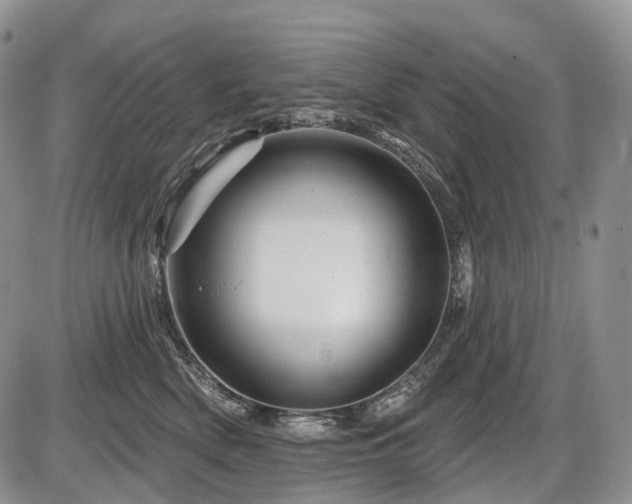 X0000087590522200704271310