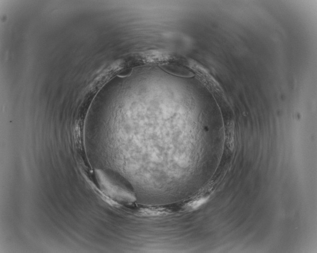 X0000087590523200704271310