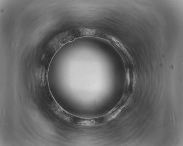 X0000087590525200704271310