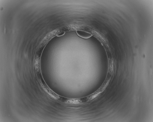 X0000087590526200704271310