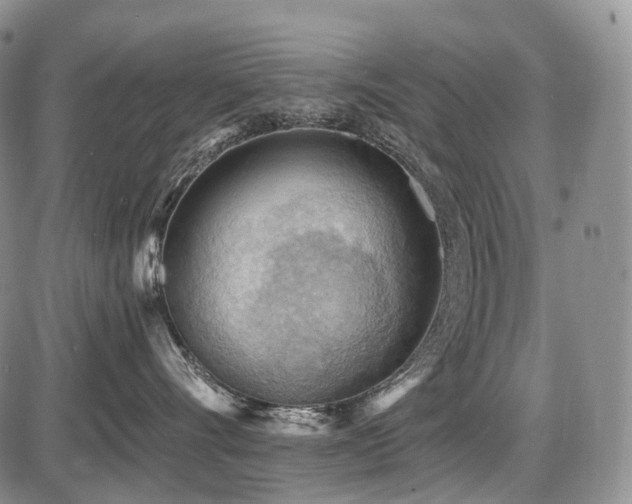 X0000087590528200704271310