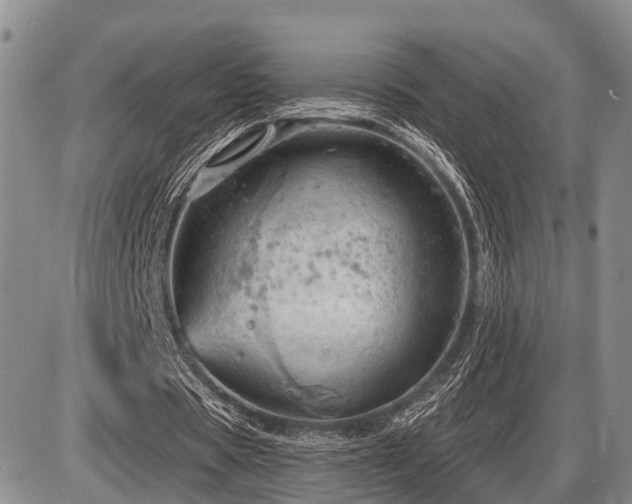 X0000087590529200704271309