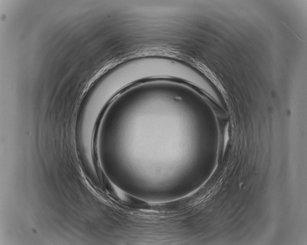 X0000087590530200704271309