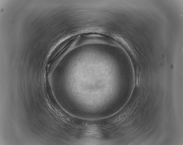 X0000087590531200704271309