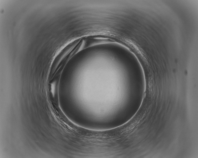 X0000087590532200704271309