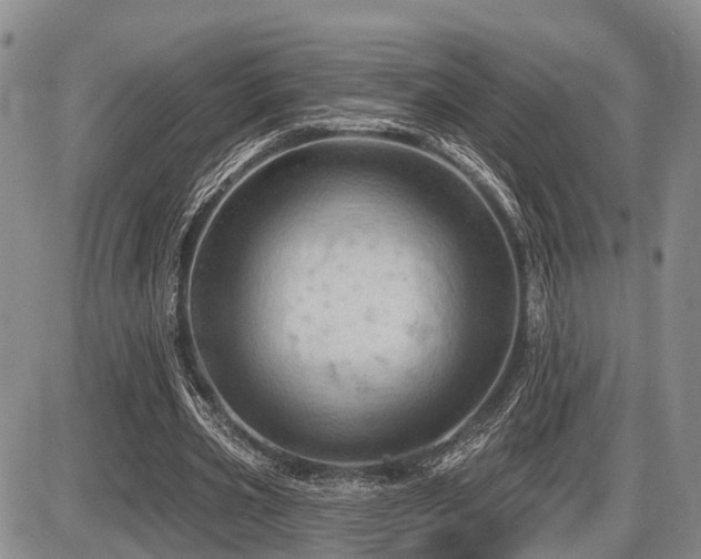 X0000087590533200704271309