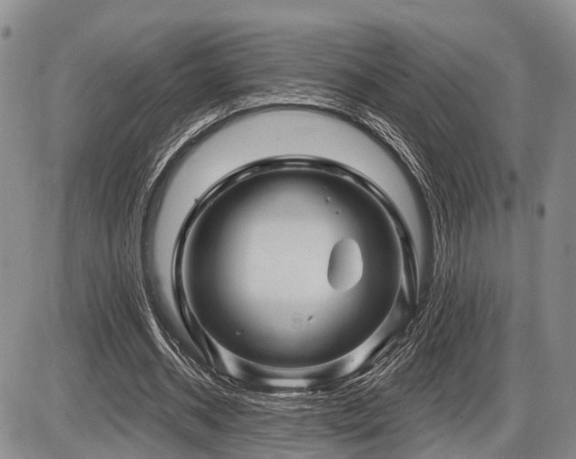 X0000087590534200704271309