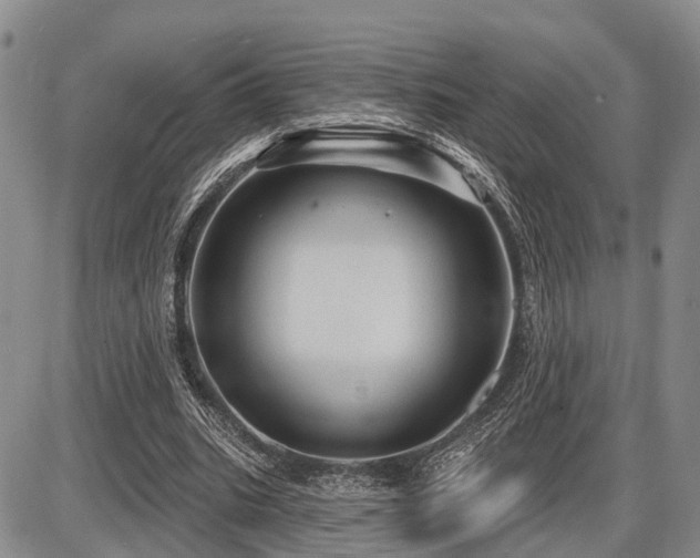 X0000087590535200704271310