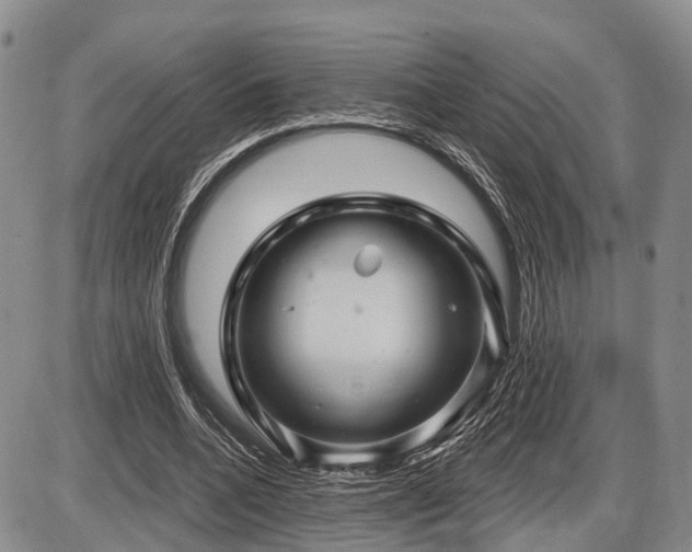 X0000087590536200704271310